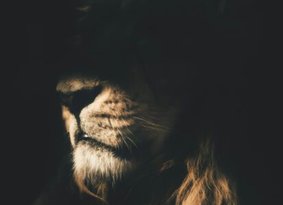 When Darkness Sings Softly
