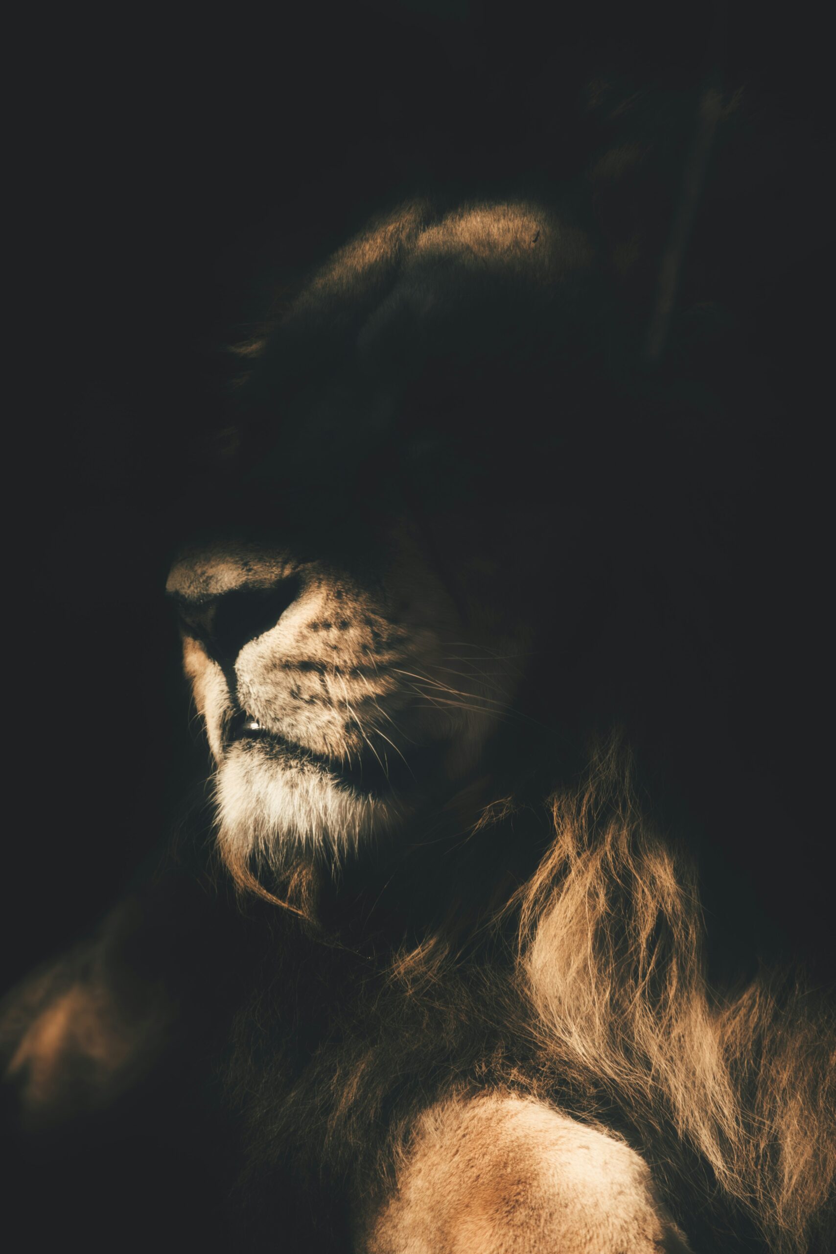 When Darkness Sings Softly